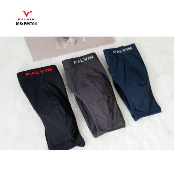 SỊP NAM TAM GIÁC MS: PMT04 - Ảnh 2