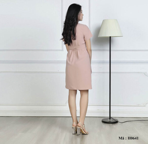 Váy đầm suông cổ tròn Palvin Việt Nam H0641 - Ảnh 5