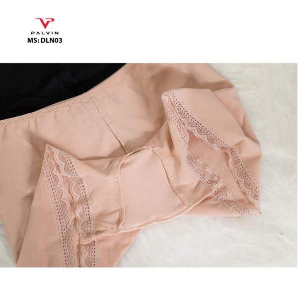 Combo 10 quần lót đùi nữ mặc váy DLN03 - Ảnh 2