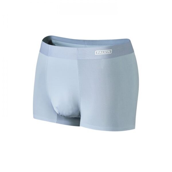 Quần sịp đùi nam lụa băng Palvin mã PMB10 - Ảnh 3