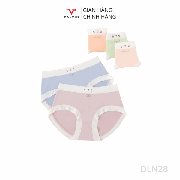 Combo 10 quần lót nữ modal viền lụa DLN28