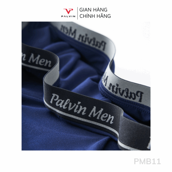 Combo 12 Quần sịp đùi nam cotton Palvin mã PMB11 cao cấp - Ảnh 4