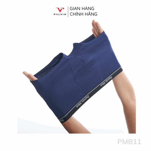 Combo 12 Quần sịp đùi nam cotton Palvin mã PMB11 cao cấp - Ảnh 9