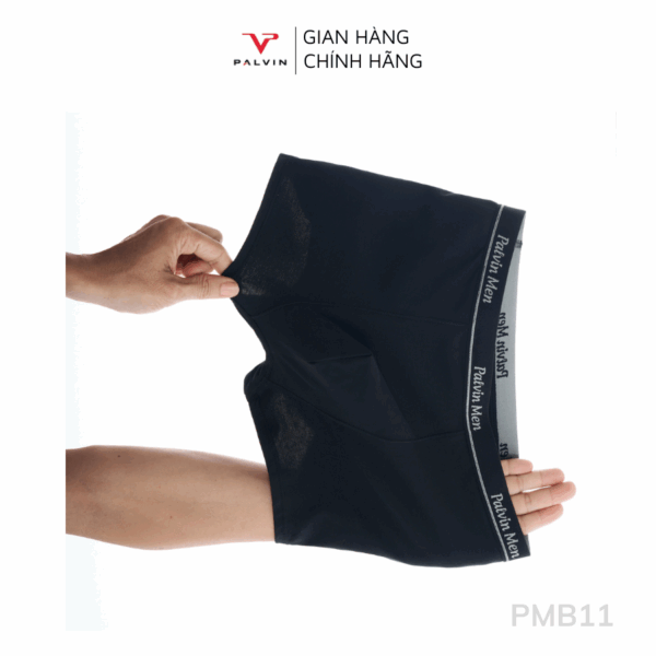Combo 12 Quần sịp đùi nam cotton Palvin mã PMB11 cao cấp - Ảnh 8