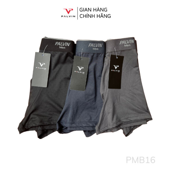 Quần lót đùi thông hơi cho nam Palvin - PMB16 - Ảnh 4