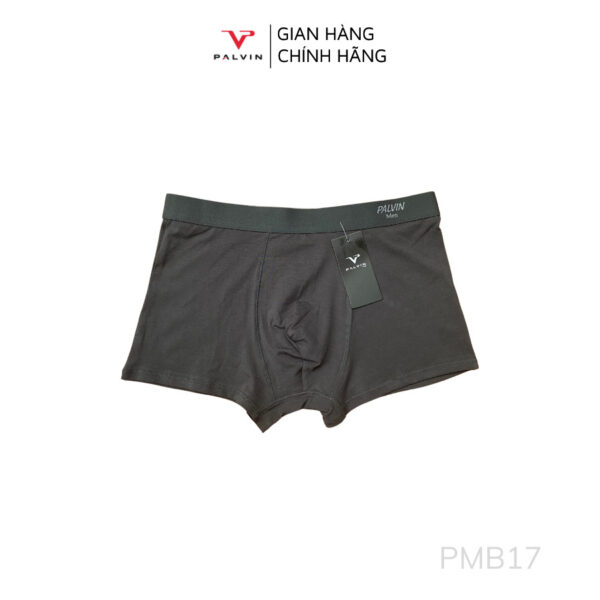 Quần lót đùi cotton cho nam Palvin - PMB17 - Ảnh 8