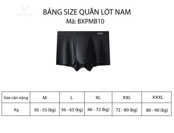 Quần lót đùi lụa băng cho nam Palvin - PMB10 - Ảnh 11
