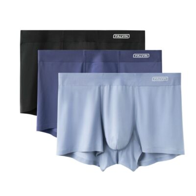 Quần lót đùi lụa băng cho nam Palvin - PMB10