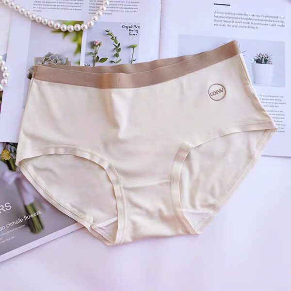 Quần Cotton 8160 - LXLN63 - Ảnh 2