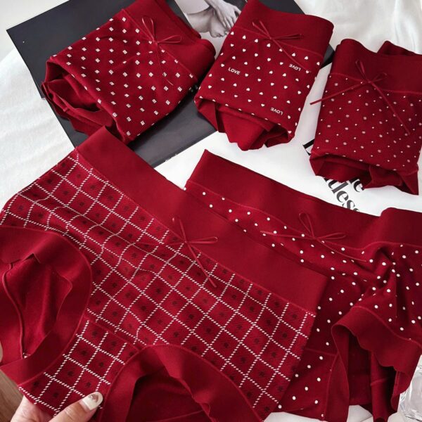 Quần Cotton 889 - LXLN68 - Ảnh 4